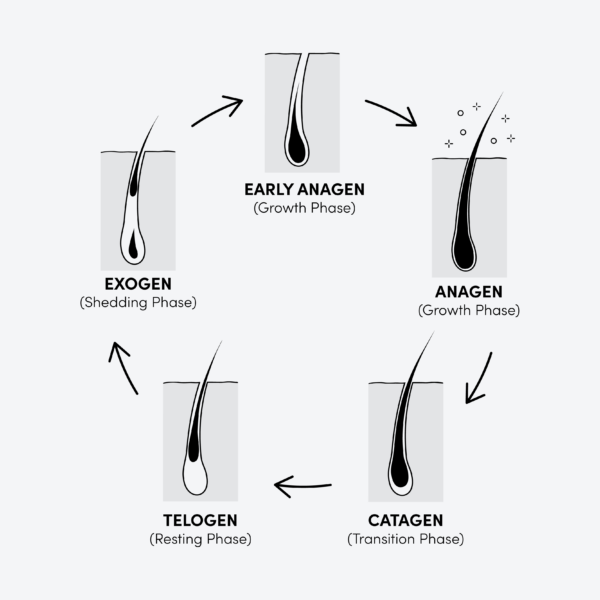 the-fight-against-hair-loss-seven